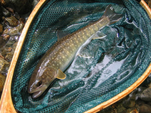b0120066_21514345.jpg