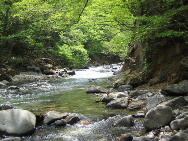 b0120066_2205511.jpg