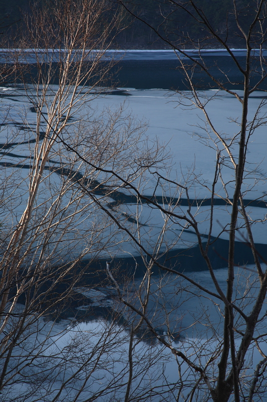 b0027267_2325495.jpg