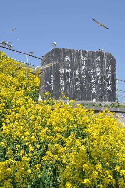 c0048667_22173059.jpg