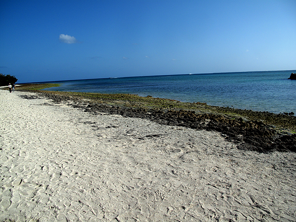 f0052269_19351356.jpg