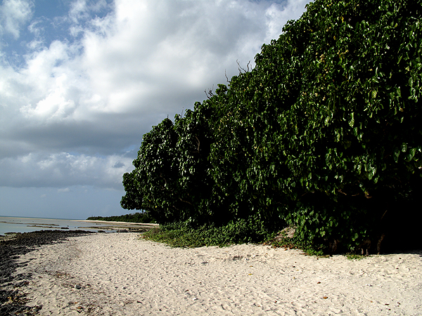 f0052269_19352862.jpg