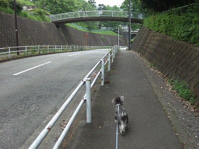 b0143879_11135663.jpg