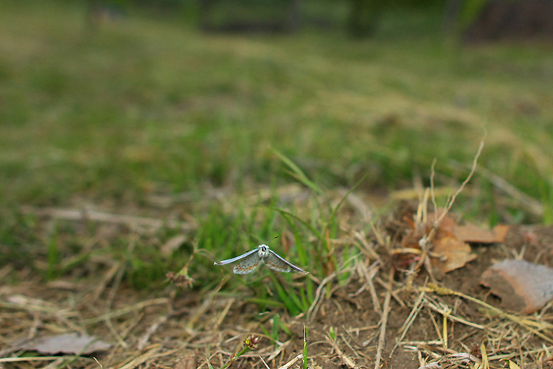 f0090680_2347299.jpg