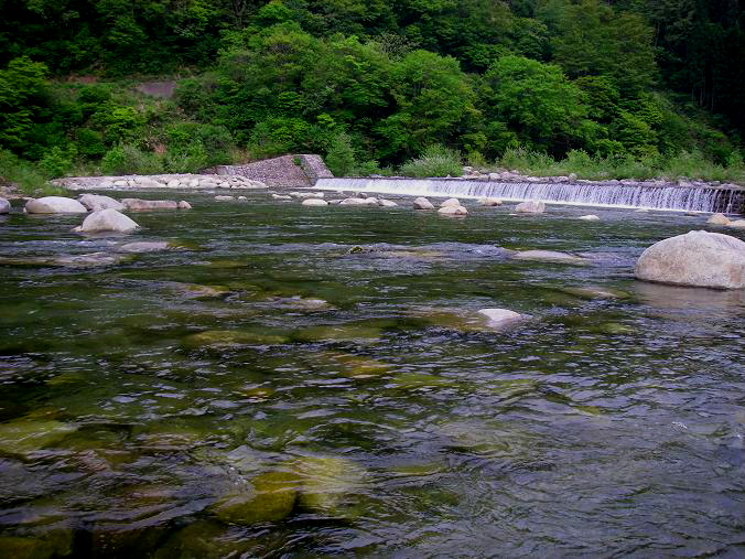 c0136486_2018237.jpg