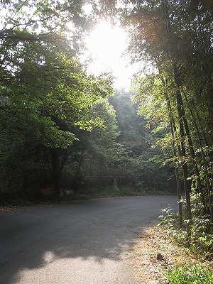 a0118289_9194187.jpg