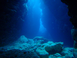 c0018489_23392449.jpg