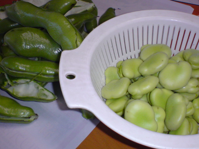 a0089790_10325877.jpg