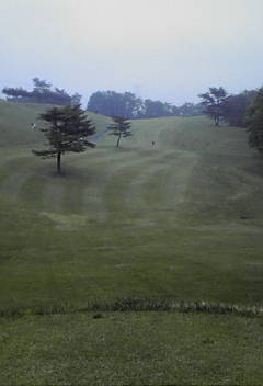 c0189693_1152087.jpg