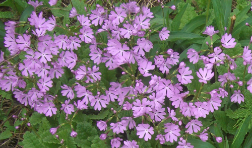 b0099994_1644580.jpg