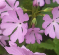 b0099994_1663616.jpg