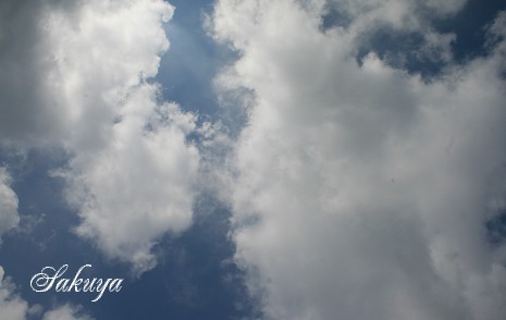 e0122194_21345215.jpg