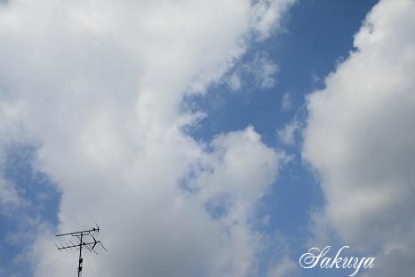 e0122194_213573.jpg