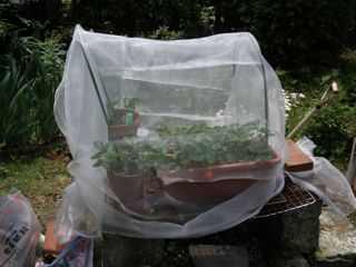 f0130894_22123625.jpg