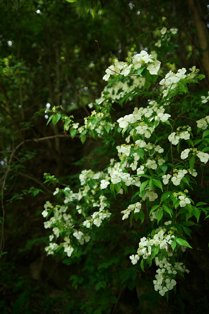 d0146295_0275415.jpg