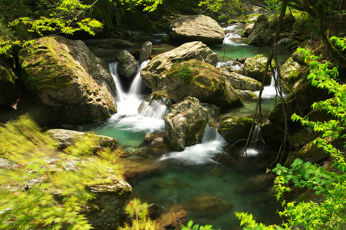 d0146295_0302599.jpg