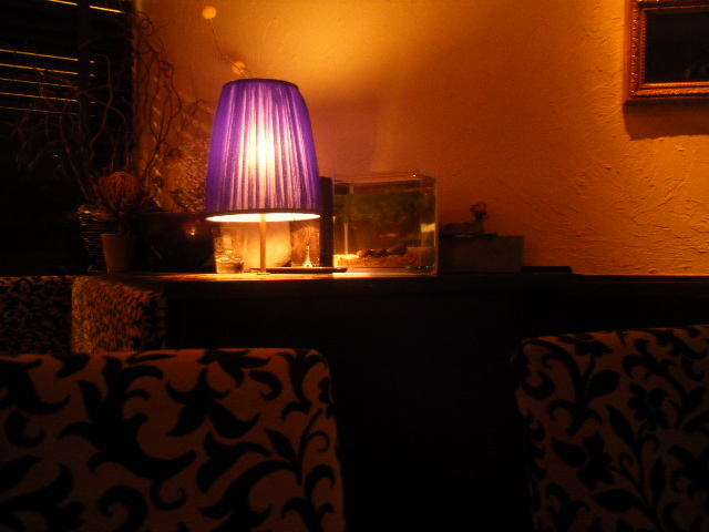 a0050302_4393084.jpg
