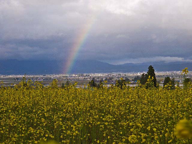 c0008502_1916425.jpg