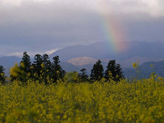 c0008502_19224651.jpg