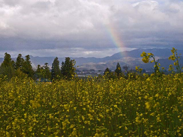 c0008502_1936225.jpg
