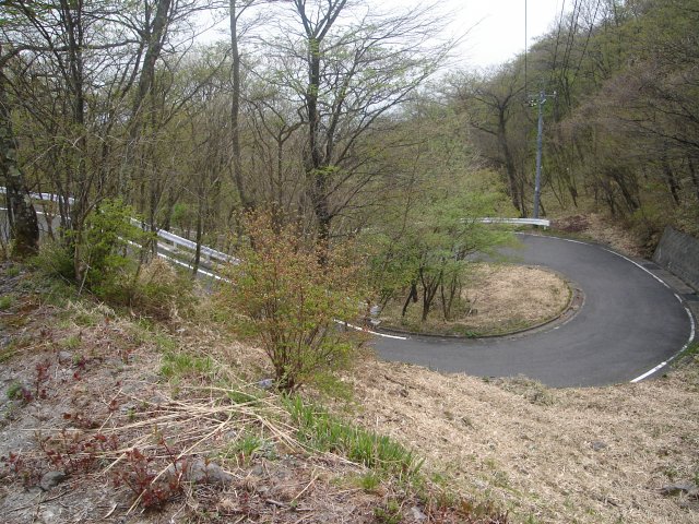 a0116205_1465884.jpg