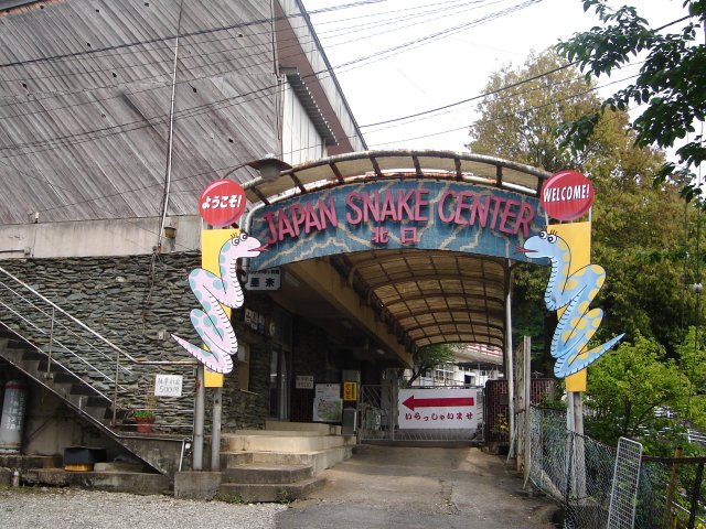 a0116205_19544033.jpg
