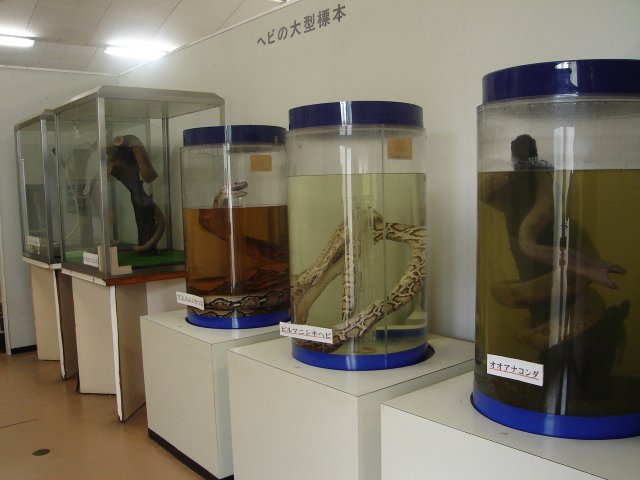 a0116205_22144015.jpg