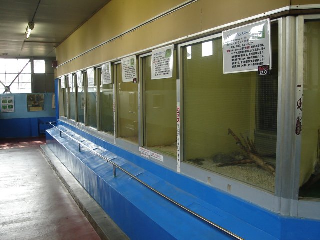 a0116205_22155970.jpg