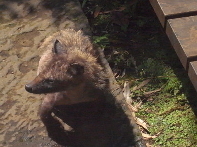 c0171206_1755359.jpg