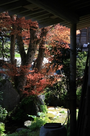 b0180907_2355178.jpg