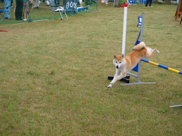 d0101409_20527100.jpg