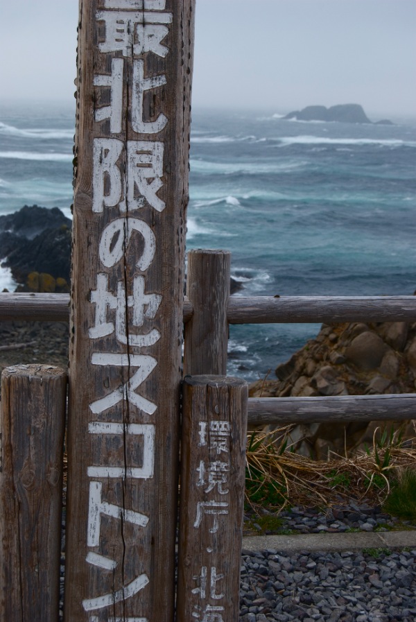 c0153411_2291995.jpg