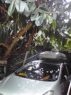 f0049813_10252538.jpg