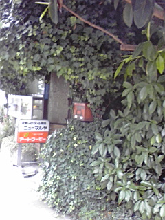 f0049813_10252545.jpg