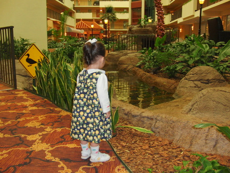 c0151122_1057270.jpg
