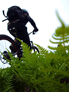 d0023725_2073239.jpg