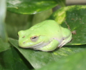 f0172925_8461514.jpg