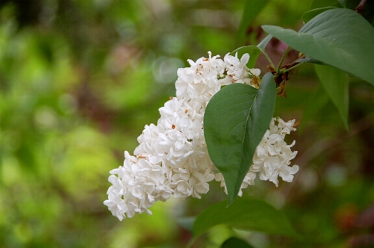 f0095128_17182766.jpg