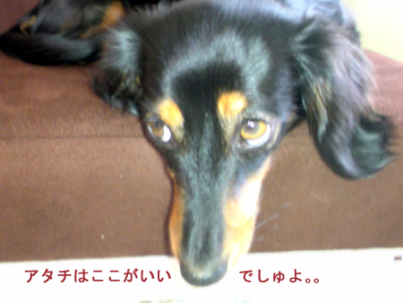c0117831_18562661.jpg