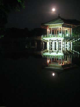 a0088435_1933577.jpg