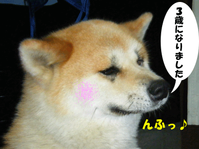 f0008935_15113044.gif
