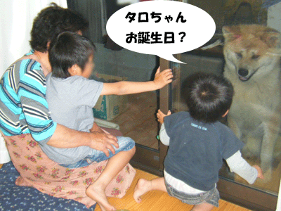f0008935_15172429.gif