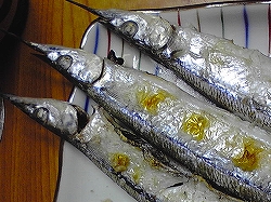 b0028347_11364924.jpg