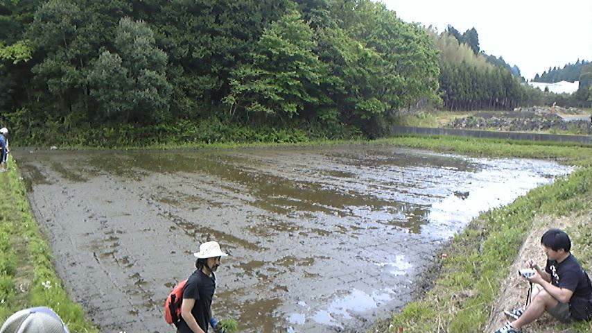 b0139547_12352332.jpg