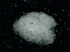 e0005548_21301421.gif