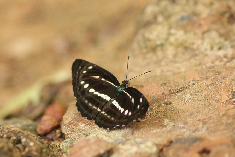 a0094850_2143760.jpg