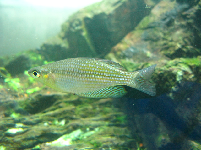 f0198950_2253845.jpg
