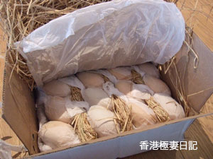 f0190653_1116024.jpg