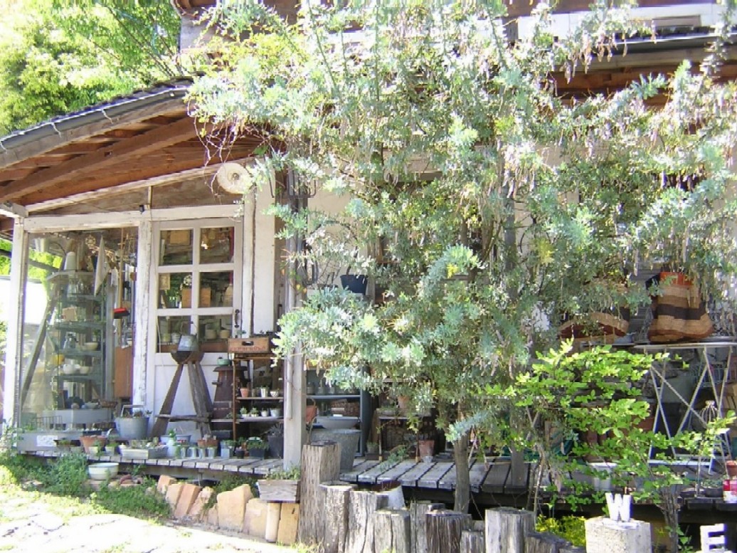 b0180968_14125079.jpg