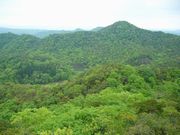 b0102572_17225414.jpg